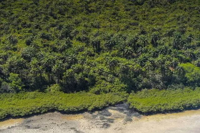 Platô da Serra do Tepequém