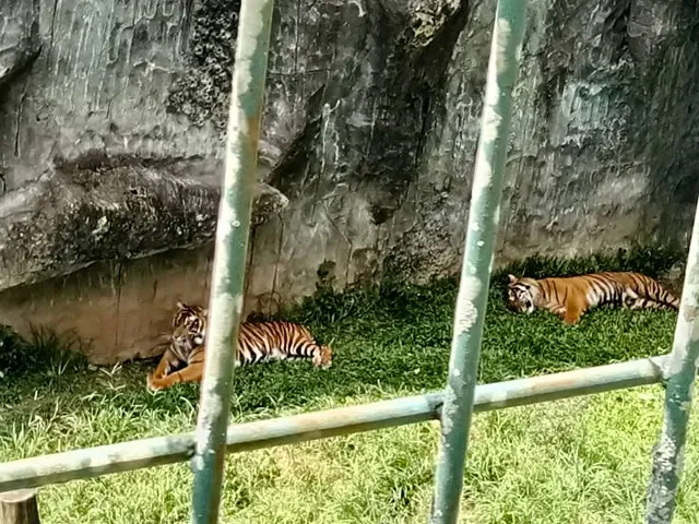 Taiping Zoo and Night Safari