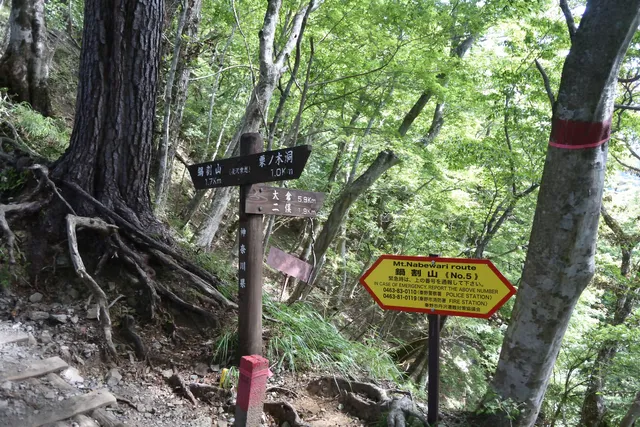Ushirosawa Nokkoshi Saddle