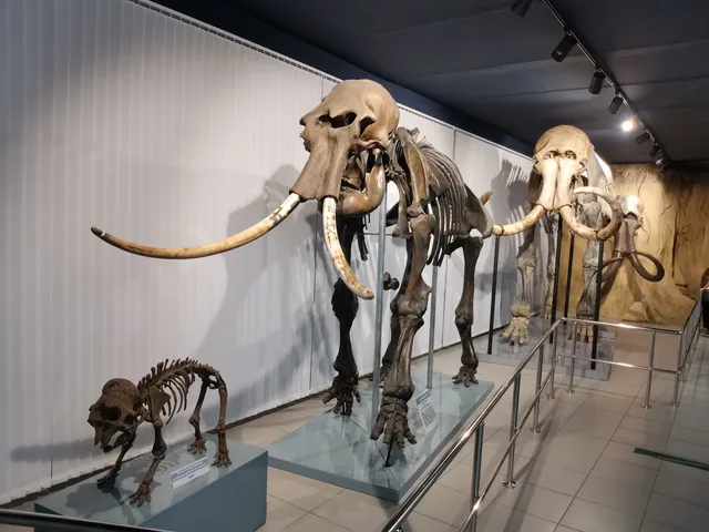 Muzey Prirody. Novosibirskiy Gosudarstvennyy Krayevedcheskiy Muzey