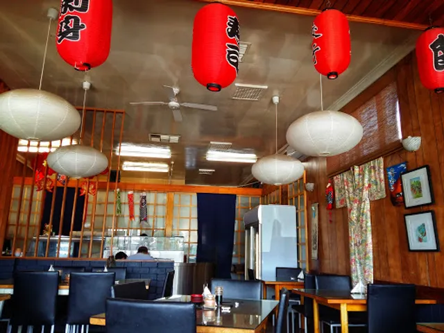 Shibuku Japanese Palmyra