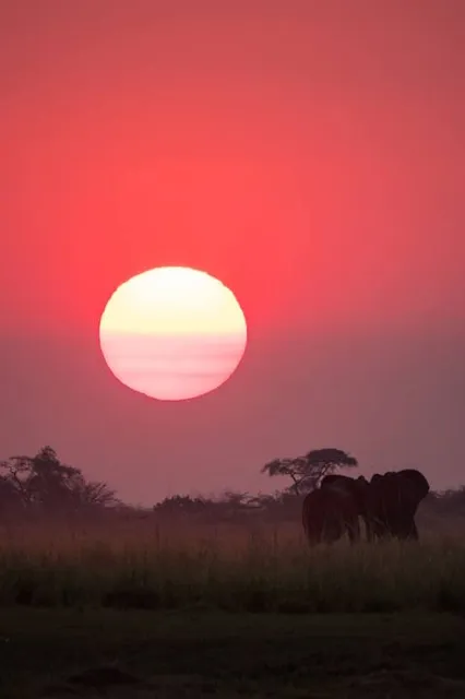 Predio Costa Surubí