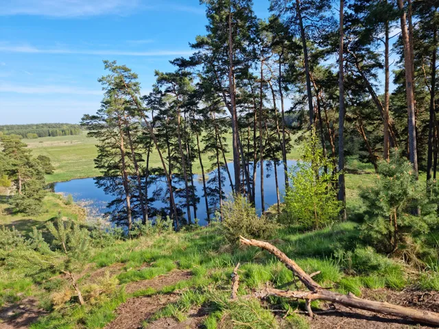 Łąki Studzienieckie