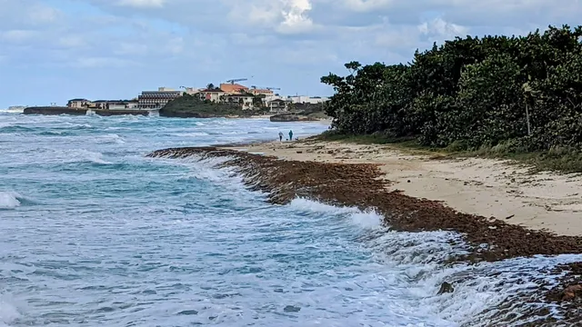 Playa Las Américas