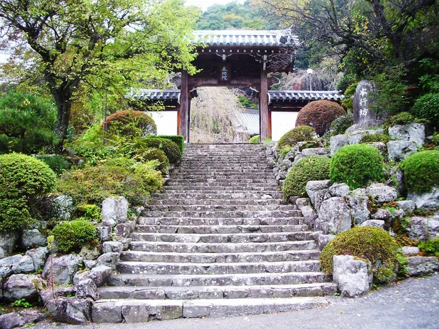 photo-2