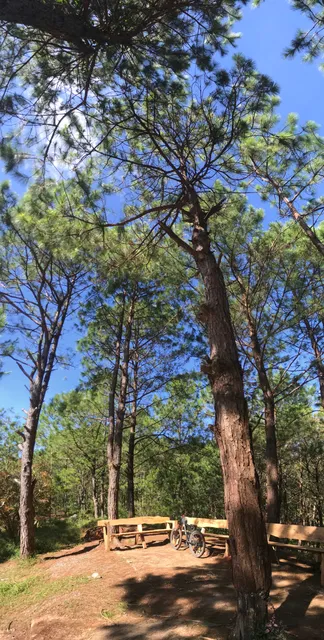 Puguis Communal Forest