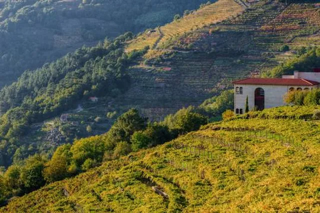 Abadía da Cova - Adegas Moure