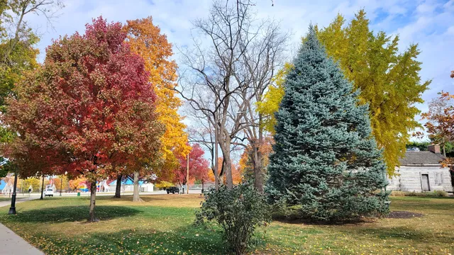 photo-1