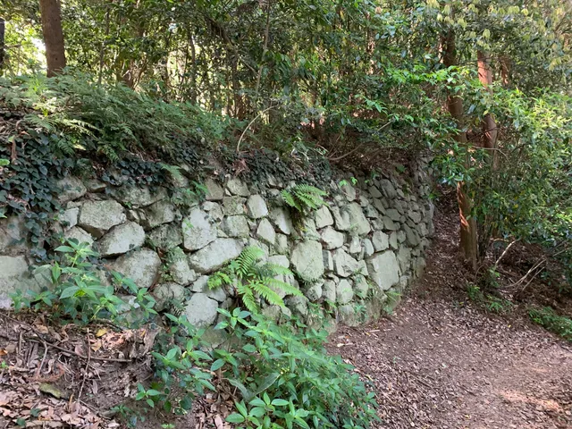 Tachibanayama Castle Ruins