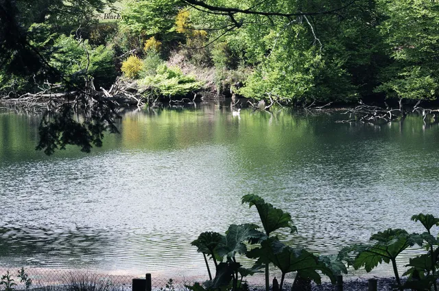 Parc Animalier Saint Martin Montaigu La Brisette