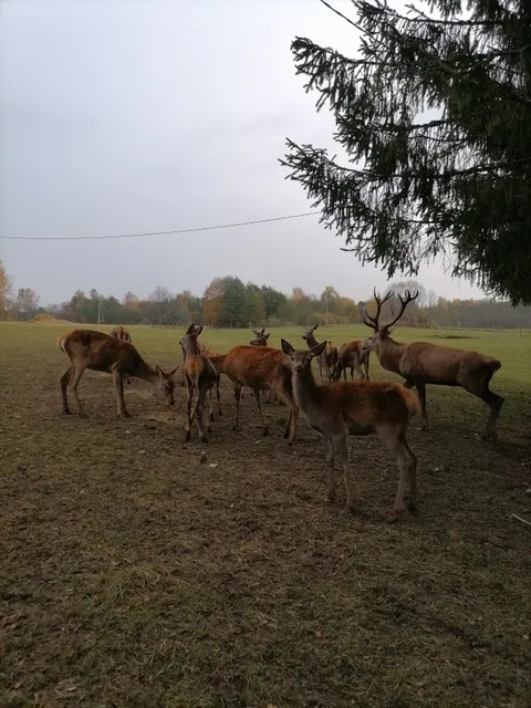 Aglonas Briežu dārzs