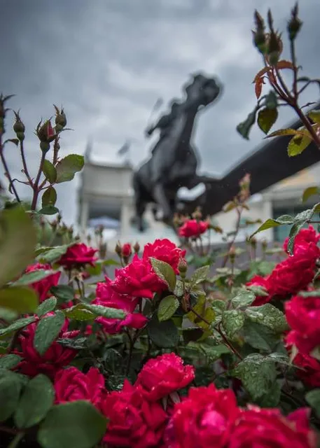 Churchill Downs