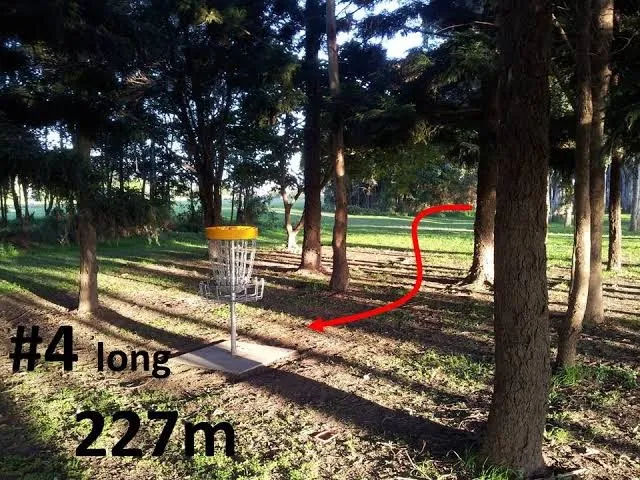 Pine Rivers Park Disc Golf Course