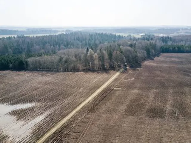 Tytuvėnai Observation Tower