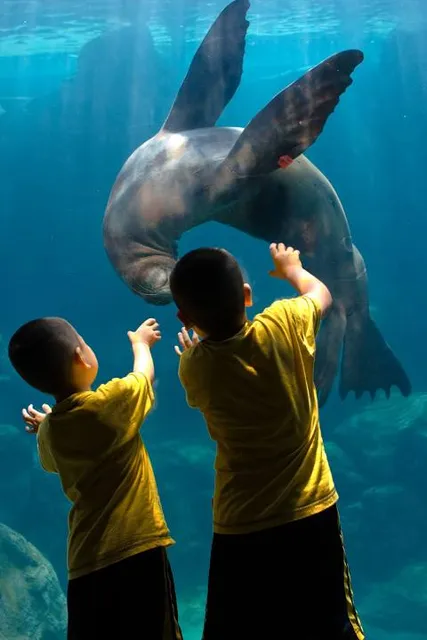 Aquarium of the Pacific