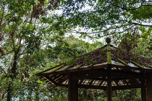 Tang Madan Mountain Trail