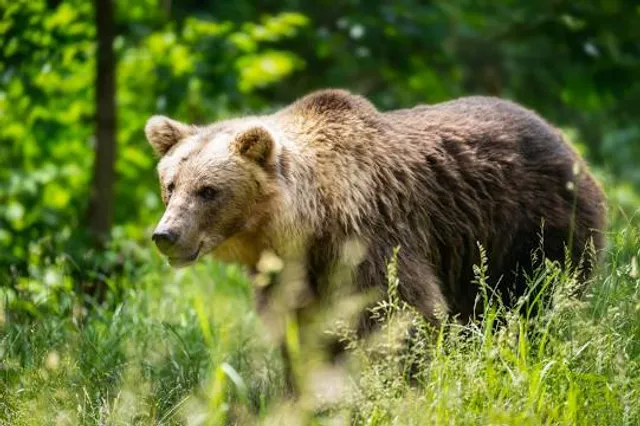 Landkreis Freudenstadt