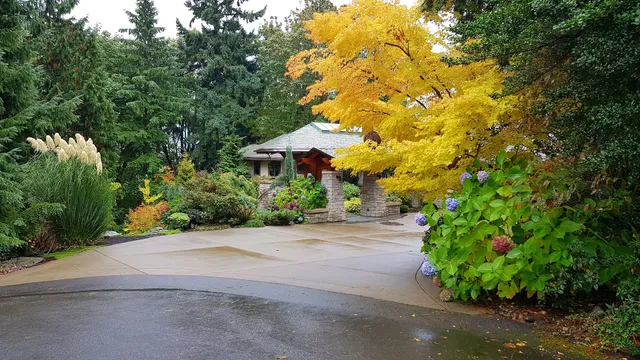 Hollerbach Open Space