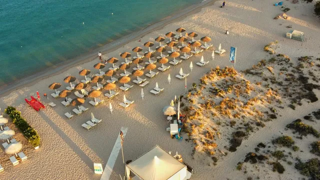 Dolphin Beach - Servizi in Spiaggia, stabilimento balneare e noleggio ombrelloni