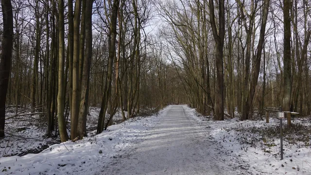 Floordamboswandeling