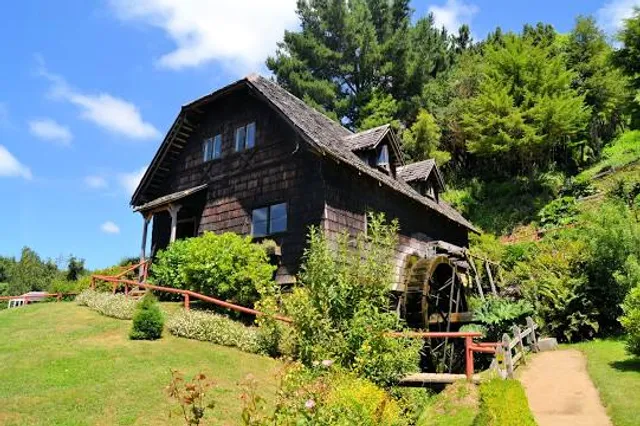 photo-1