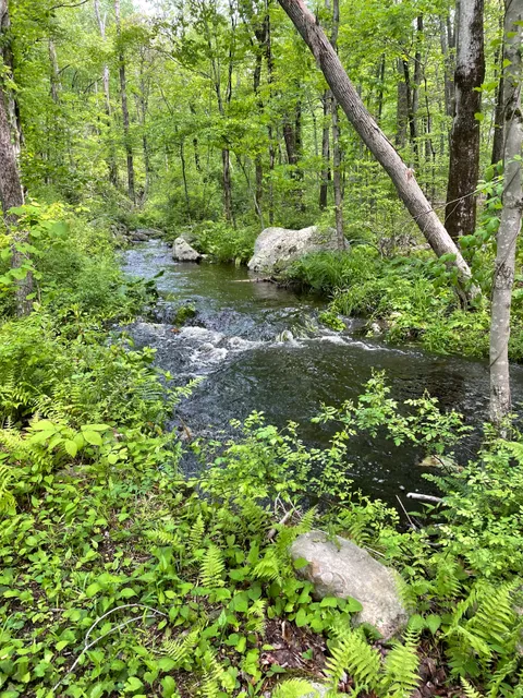 Devil's Den Preserve Pinchbeck Trail Parking