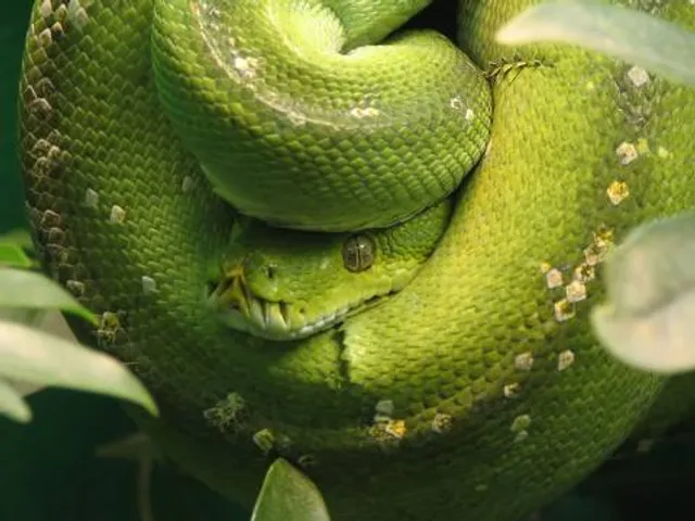 Oklahoma City Zoo