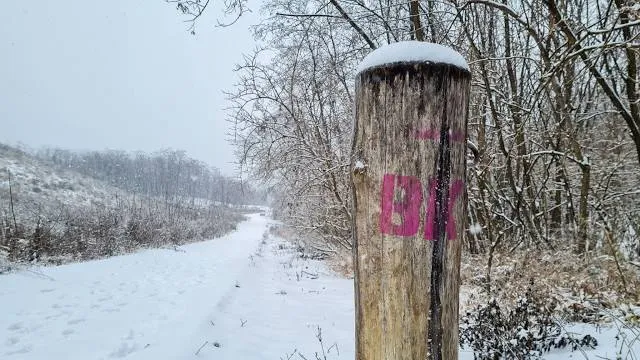 Bodri Kör Rajt/Cél