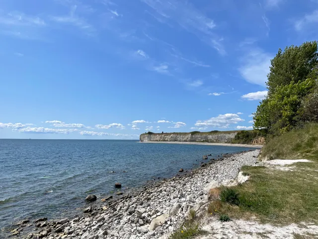 Stevns Klint Experience