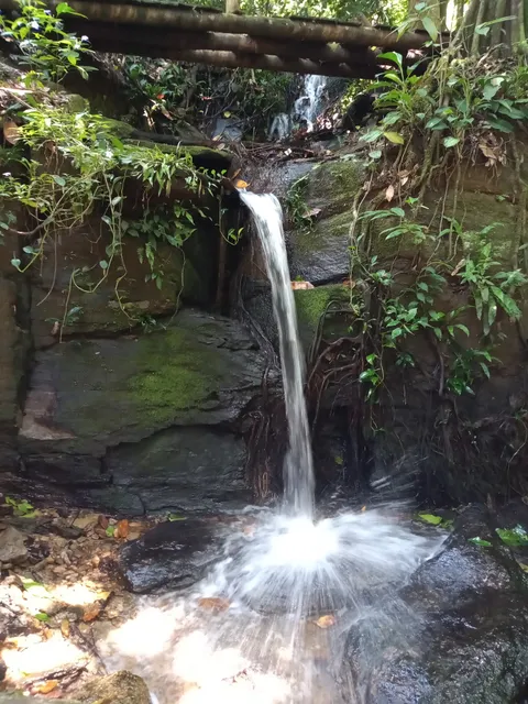Trilha do Laboratório