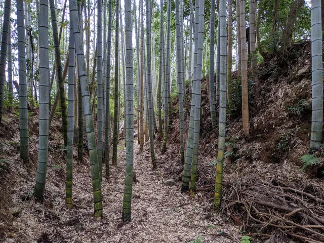 Site of Gokasho Castle