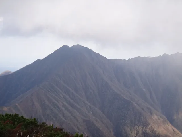 photo-2