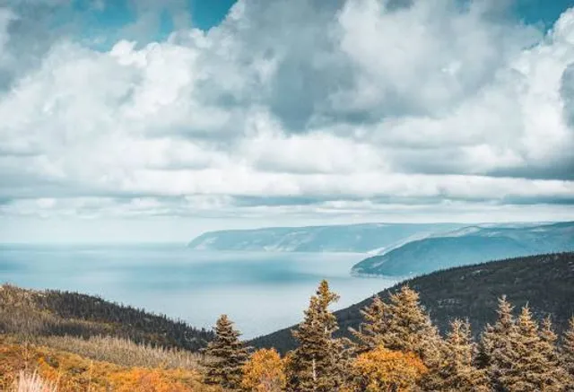 MacKenzie Mountain Look-off - Whales