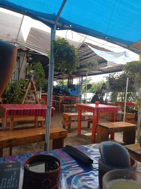 Metate y Café Río Blanco