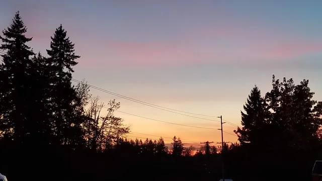 Covington Parks & Recreation Department