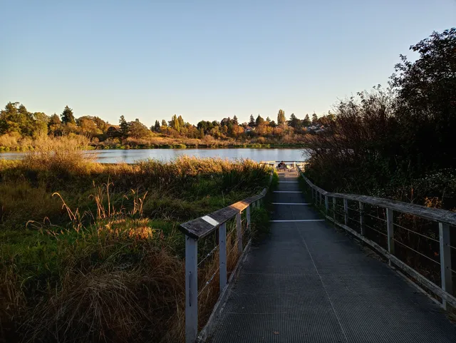 Swan Lake - The Nature House