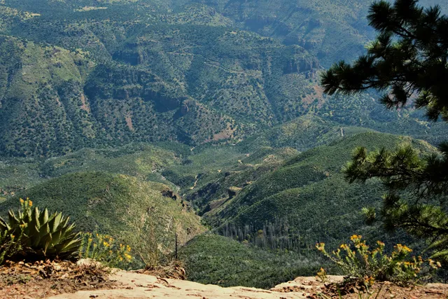 Sierra Ancha Wilderness