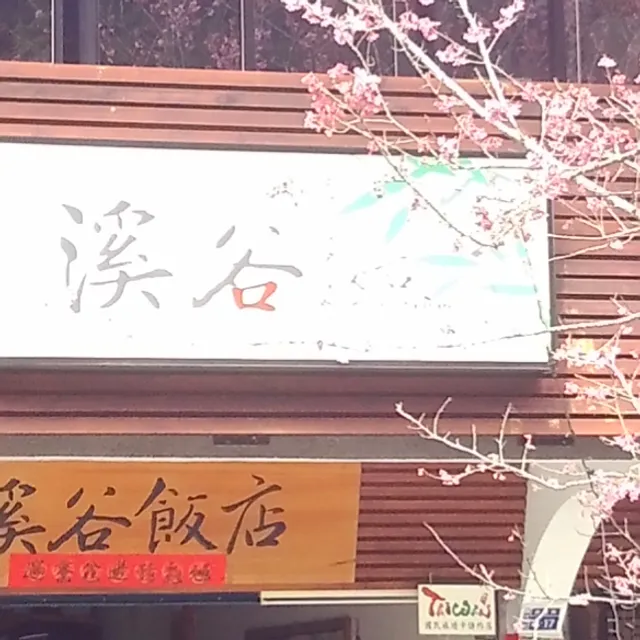 溪頭 溪谷飯店