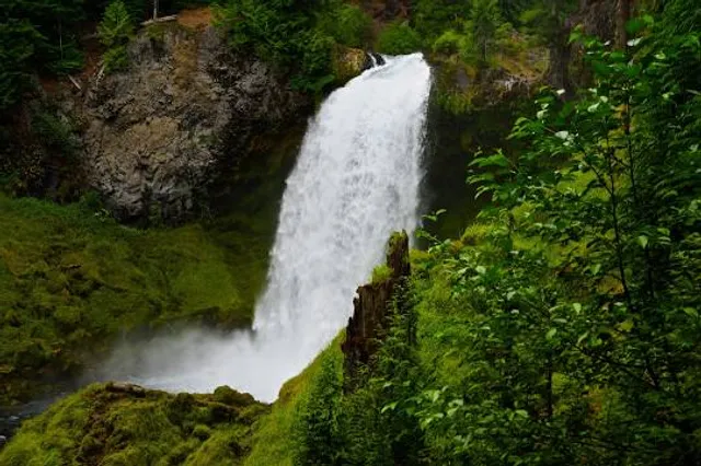 Sahalie Falls Viewpoint