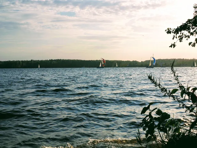 Pestovskoye Vodokhranilishche