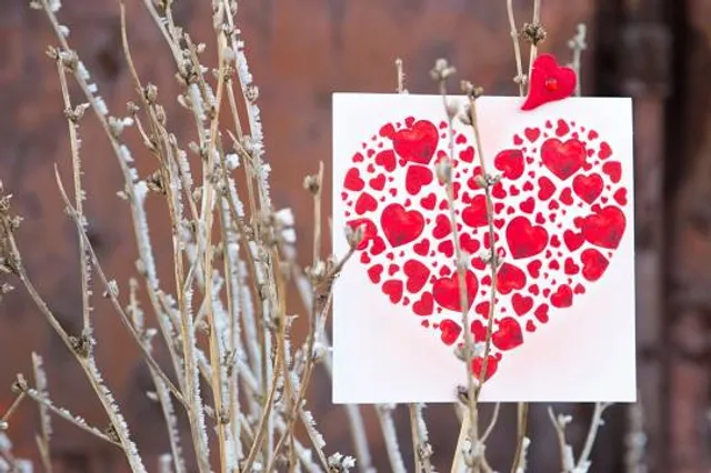 Bosnian Cultural Center