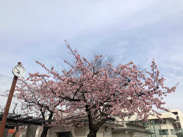 Takenotsuka 6th Park