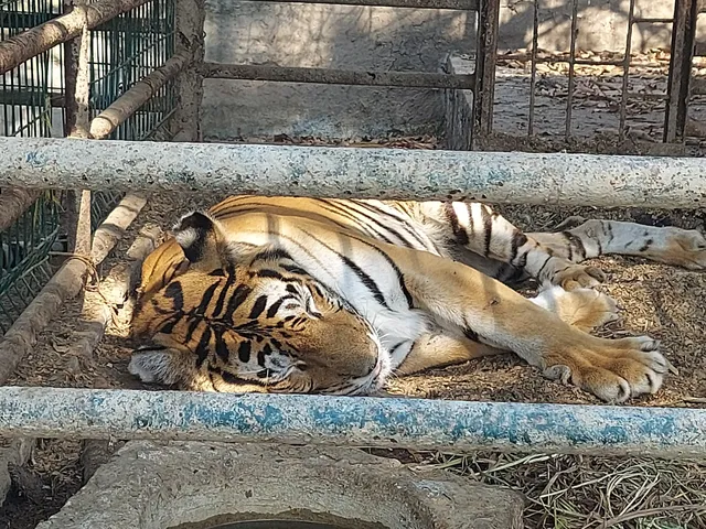 Terrenos del Lote "San Miguel Mecatepec"