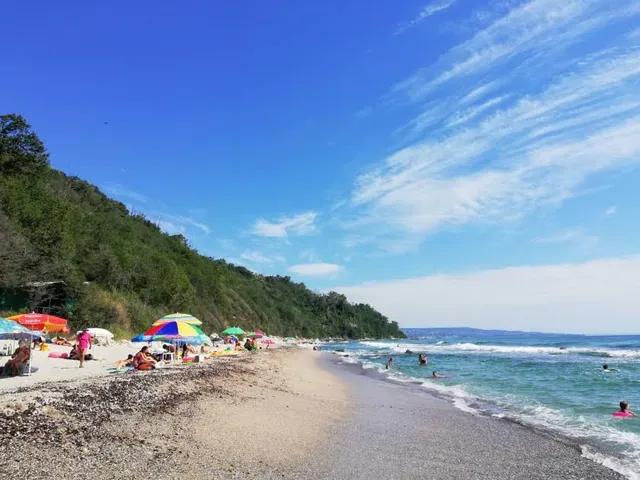 Fichoza Beach Veteran