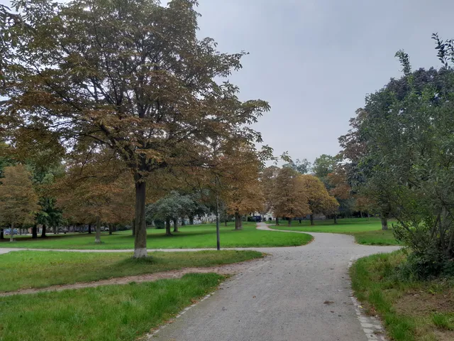 Böcking Park