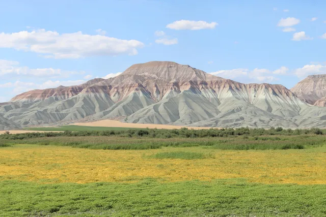 Nallıhan Bird Sanctuary