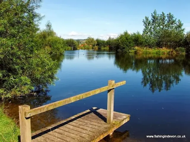 Lower Bruckland Farm Nature Reserve
