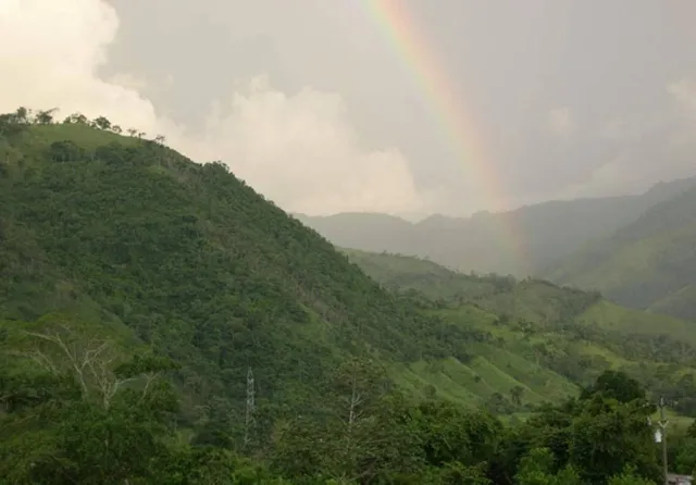 Montana de Mico Quemado