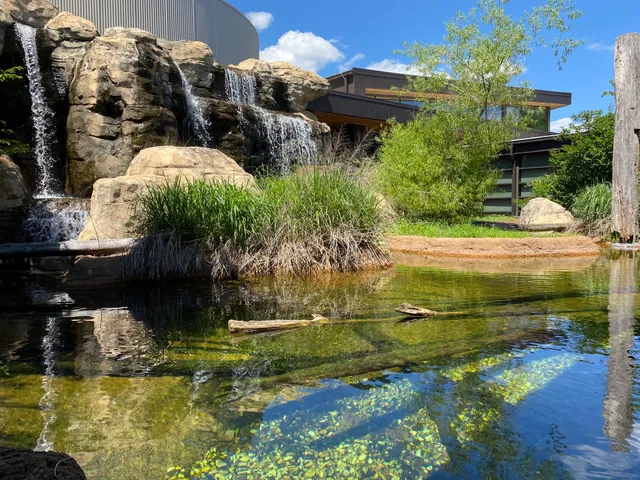 Go Fish Education Center