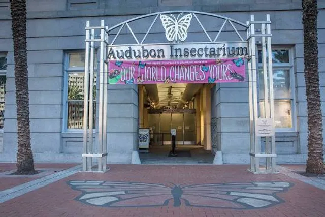 Audubon Insectarium